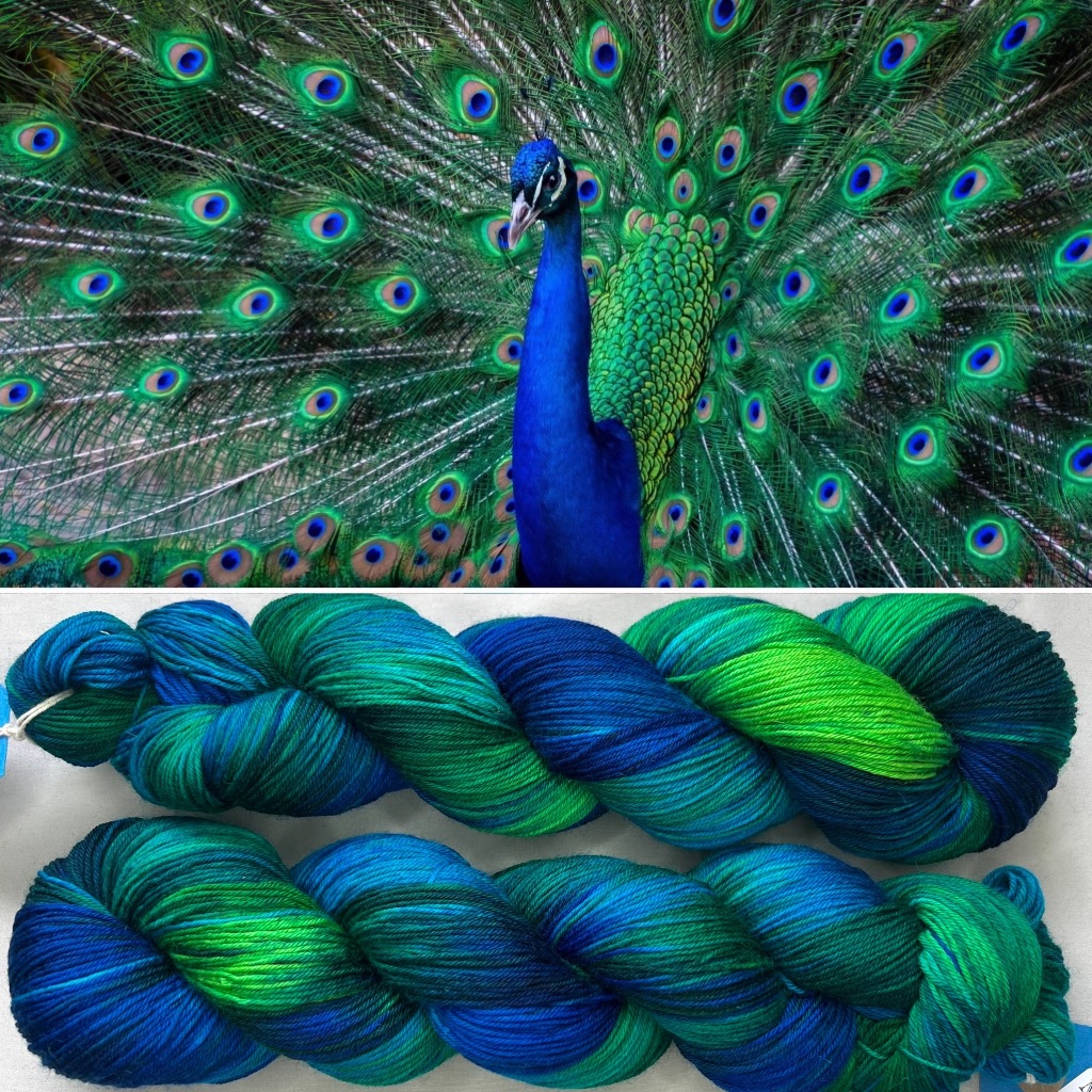 the top half of the image shows a peacock with its feathers on display and the bottom half shows two skeins of yarn dyed in the same colours